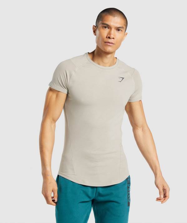 Panske Tricka Gymshark Bold Siva | IL5823974
